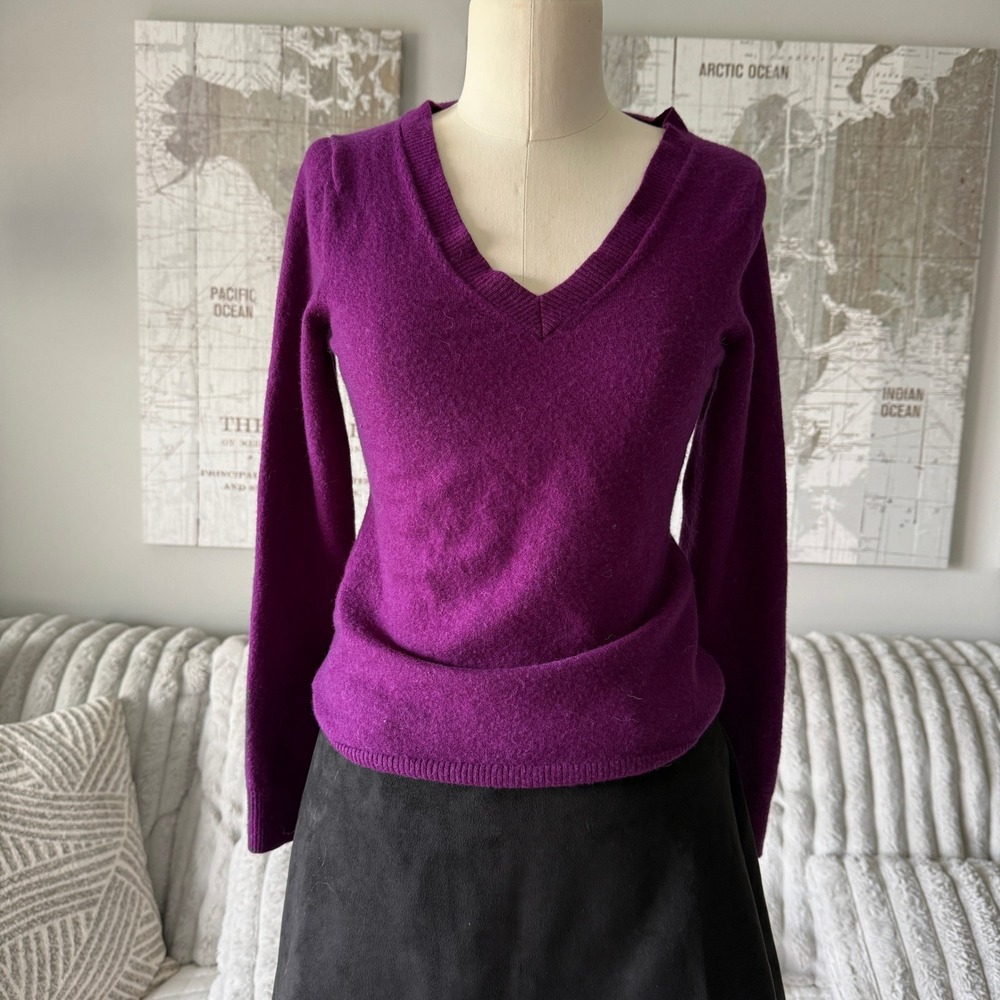 Banana Republic Extra Fine Merino Wool V-Neck Sweater Purple Medium RN54023